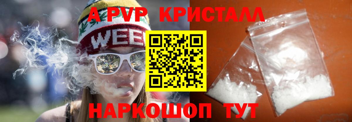 Альфа ПВП СК КРИС Советск