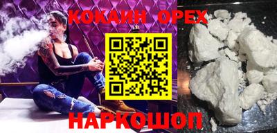 гидра Будённовск