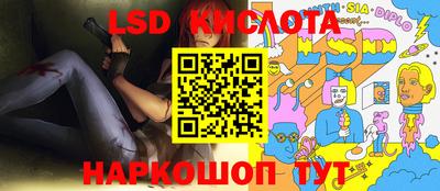 гидра Будённовск