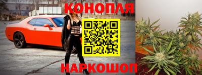 гидра Будённовск
