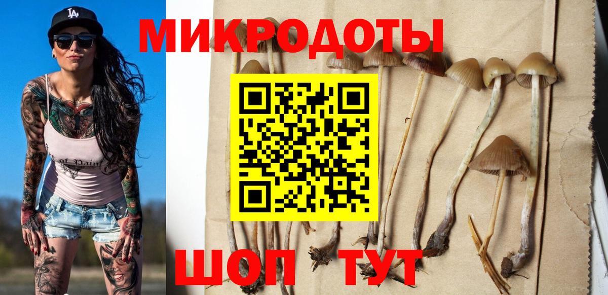 Псилоцибиновые грибы Psilocybine cubensis  Псилоцибиновые грибы мицелий  Вход с VPN  Советск 